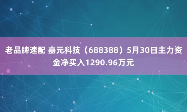 老品牌速配 嘉元科技（688388）5月30日主力资金净买入1290.96万元