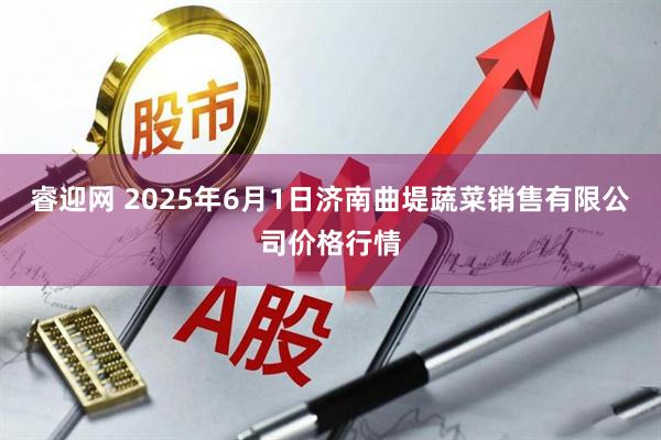 睿迎网 2025年6月1日济南曲堤蔬菜销售有限公司价格行情