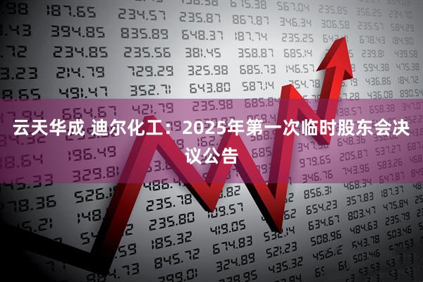 云天华成 迪尔化工：2025年第一次临时股东会决议公告