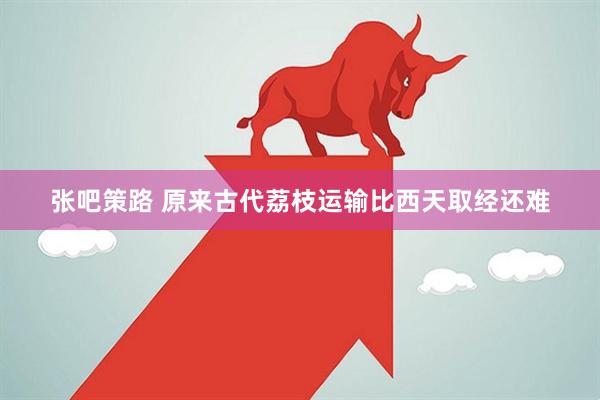 张吧策路 原来古代荔枝运输比西天取经还难
