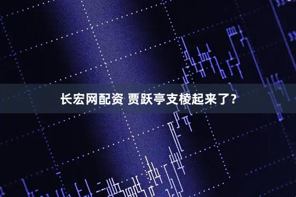 长宏网配资 贾跃亭支棱起来了？