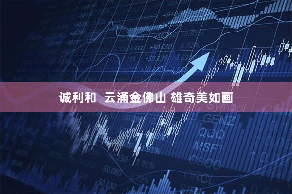 诚利和  云涌金佛山 雄奇美如画