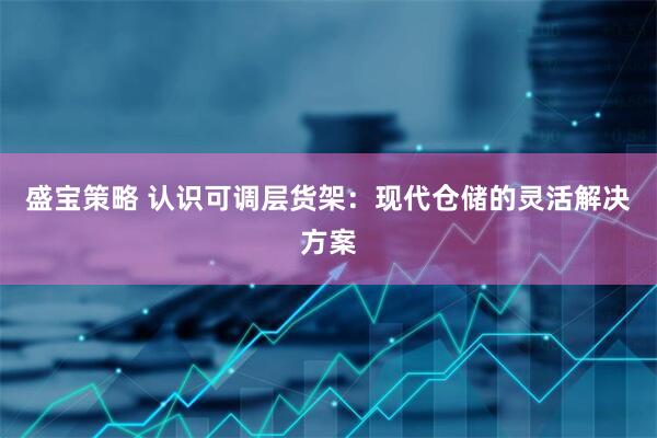 盛宝策略 认识可调层货架：现代仓储的灵活解决方案