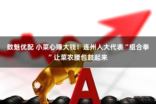 数魅优配 小菜心赚大钱！连州人大代表“组合拳”让菜农腰包鼓起来
